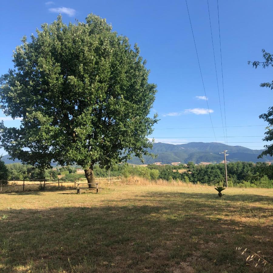 Dreams Valley Valmontone Exterior foto